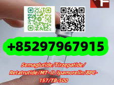 MT-Ⅱ	121062-08-6 TB-500	77591-33-4 	 	 Survodutide	2805997-46-8