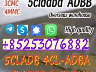 Factory price 6CL-ADB 5cl-adba 4f-ADB 2cl-ADBA 5cl-adbb 4cl-ADBB 5f-A-D-B-A for sale