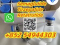 semaglutide-910463-68-2-tirzepatide-2023788-19-2-retatrutide-2381089-83-2-semaglutide910463-68-2-t-small-0