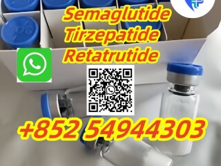 Semaglutide 910463-68-2 Tirzepatide 2023788-19-2 Retatrutide 2381089-83-2 Semaglutide910463-68-2 T