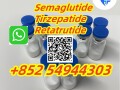 retatrutide2381089-83-2-small-0