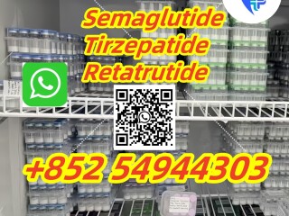 Semaglutide 910463-68-2 Tirzepatide 2023788-19-2 Retatrutide 2381089-83-2