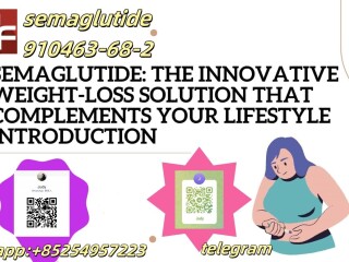 910463-68-2 Semaglutide 2023788-19-2 Tirzepatide 137525-51-0