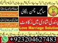 lost-love-backamil-baba-in-the-world-no-1-love-marriage-problems-solution-small-5