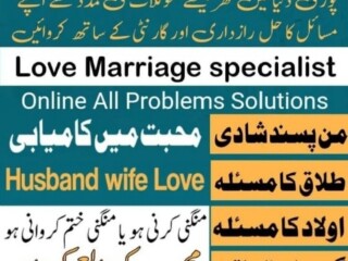 Lost love backAmil baba in the world no 1 love marriage problems solution