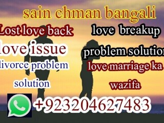 Husband wife problem solution, husband wife love dispute, love issues, affair problem solution, all problem solved, lost love back