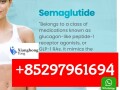 910463-68-2-semaglutidfe-lipo-c-with-b-kpv-small-0