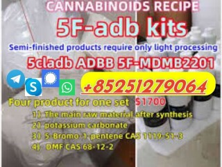 Competitive Price 5CL-ADB/ADBB Ad-b-a 5f-mdma 5f-adba 5cl-adb 5clmdma 5CL