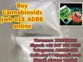 jwh-018-5cladba-k2-spice-adb-butinaca-cannabinoids-mamba-5f-adb-synthetic-marijuana-mdmb-butinaca-small-2