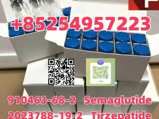 910463-68-2 Semaglutide 137525-51-0  BPC-157