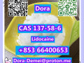 lidocainecas-137-58-6-small-0