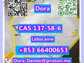 lidocainecas-137-58-6-small-4