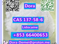 lidocainecas-137-58-6-small-2