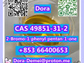 2-bromo-1-phenyl-pentan-1-one-cas-49851-31-2-small-2