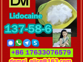 Manufacturer Supply Raw Material CAS 137-58-6 Lidocaine