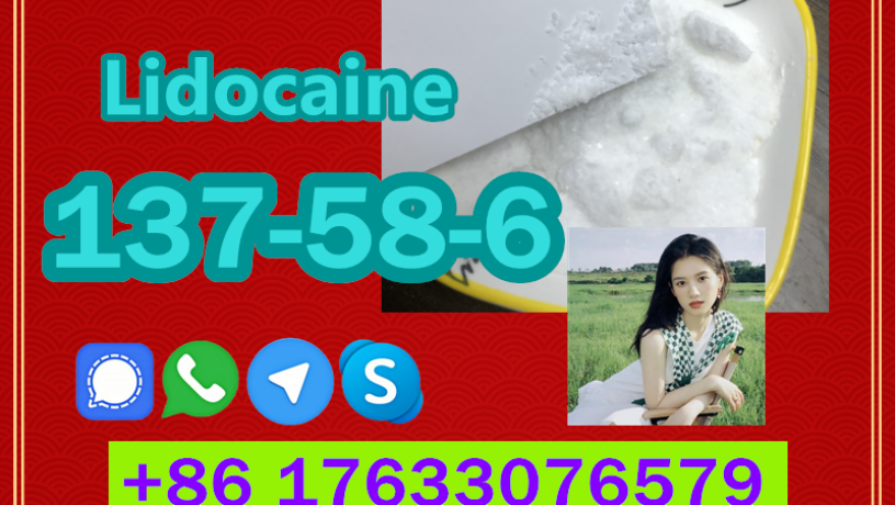 manufacturer-supply-raw-material-cas-137-58-6-lidocaine-big-2