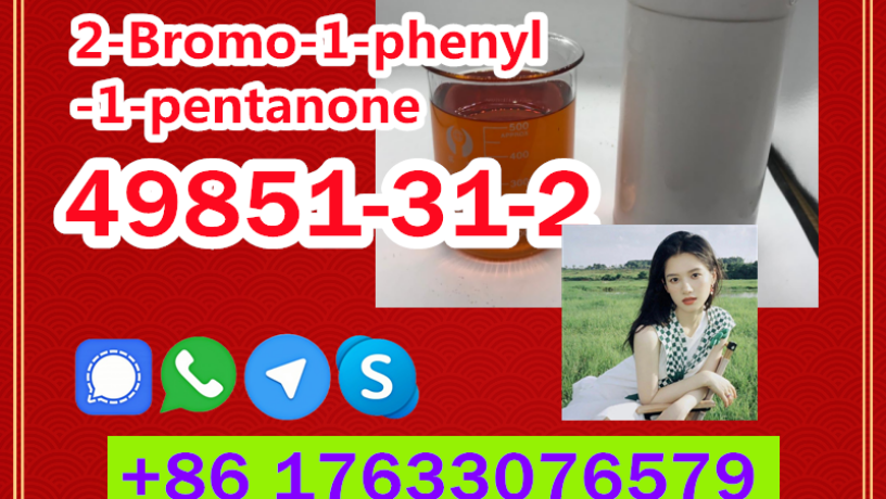 manufacturer-supply-raw-material-cas-49851-31-2-2-bromo-1-phenyl-1-pentanone-big-6