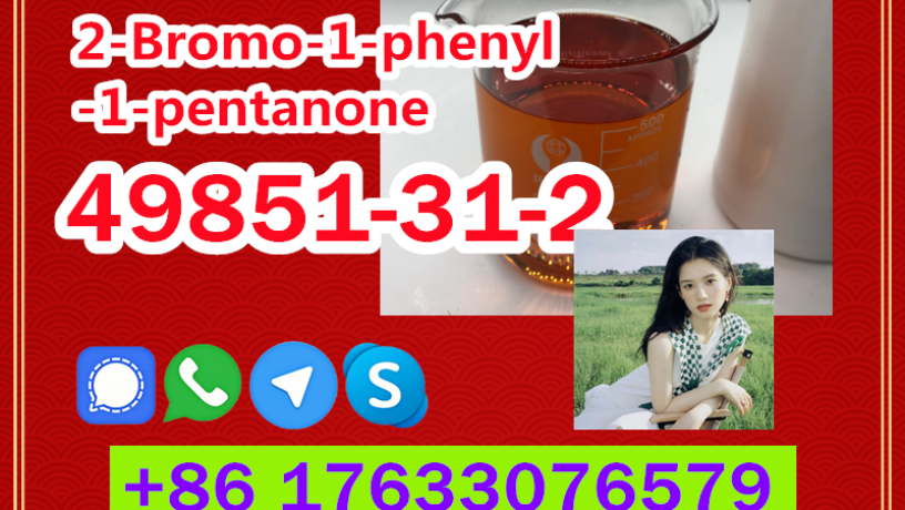 manufacturer-supply-raw-material-cas-49851-31-2-2-bromo-1-phenyl-1-pentanone-big-8