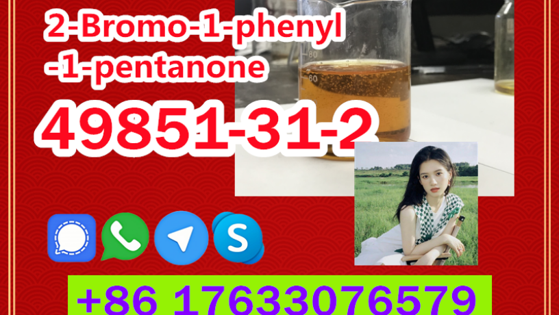 manufacturer-supply-raw-material-cas-49851-31-2-2-bromo-1-phenyl-1-pentanone-big-1