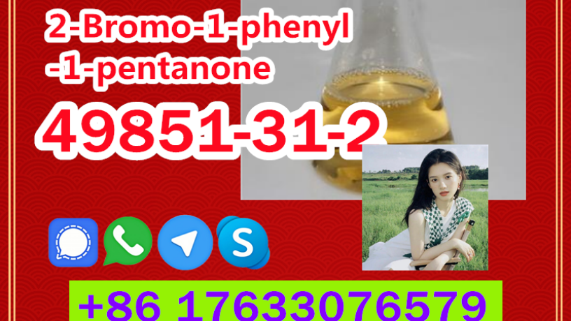 manufacturer-supply-raw-material-cas-49851-31-2-2-bromo-1-phenyl-1-pentanone-big-9