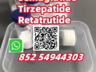 Semaglutide910463-68-2 Tirzepatide2023788-19-2Retatrutide2381089-83-2