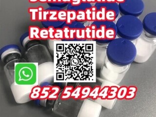 Semaglutide910463-68-2 Tirzepatide2023788-19-2Retatrutide2381089-83-2