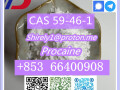 cas-59-46-1-procaine-with-high-quality-hot-sale-stock-small-8