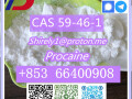 cas-59-46-1-procaine-with-high-quality-hot-sale-stock-small-6