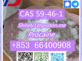 cas-59-46-1-procaine-with-high-quality-hot-sale-stock-small-9