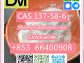 cas-137-58-6-lidocaine-high-quality-good-price-small-1