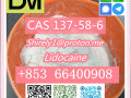 cas-137-58-6-lidocaine-high-quality-good-price-small-3