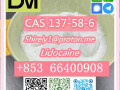 cas-137-58-6-lidocaine-high-quality-good-price-small-5