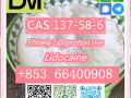 cas-137-58-6-lidocaine-high-quality-good-price-small-8