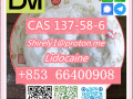 cas-137-58-6-lidocaine-high-quality-good-price-small-7