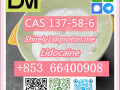 cas-137-58-6-lidocaine-high-quality-good-price-small-4