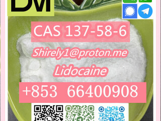 CAS 137-58-6 Lidocaine high quality good price