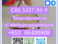 cas-5337-93-9-4-methylpropiophenone-with-high-quality-small-5