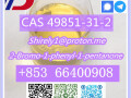 cas-49851-31-2-high-quality-2-bromo-1-phenyl-1-pentanone-small-9