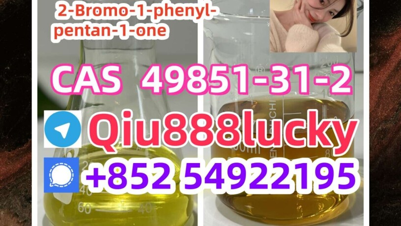 cas-49851-31-2-2-bromo-1-phenyl-pentan-1-one-big-0