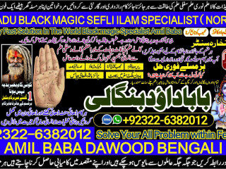 No1_ Best best online istikhara manpasand shadi online love problem solution specialist love marriage specialist +92322-6382012