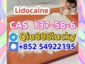 cas-137-58-6-lidocaine-small-0