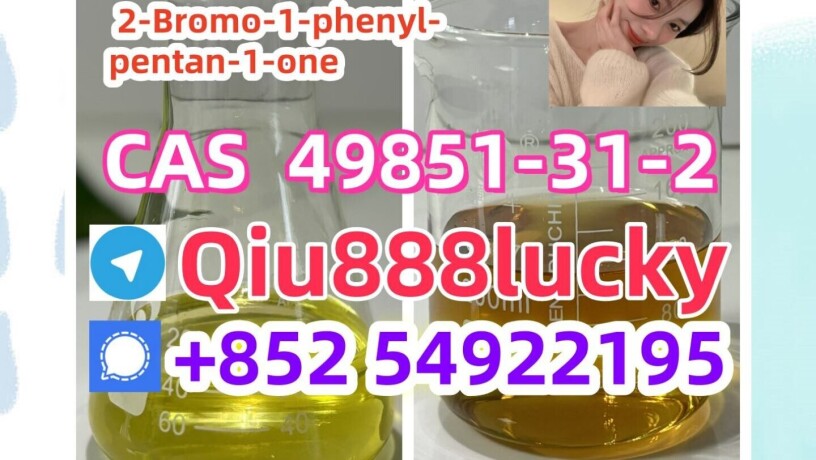 cas-49851-31-2-2-bromo-1-phenyl-pentan-1-one-big-0