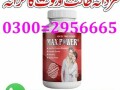 max-power-capsule-in-pakistan-03002956665-small-0