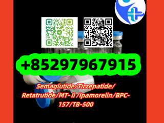 Semaglutide	910463-68-2 	 	 	 	 	 Triptorelin 	57773-63-4 SS-31	736992-21-5