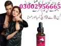 03002956665donkey-oil-in-pakistan-small-0