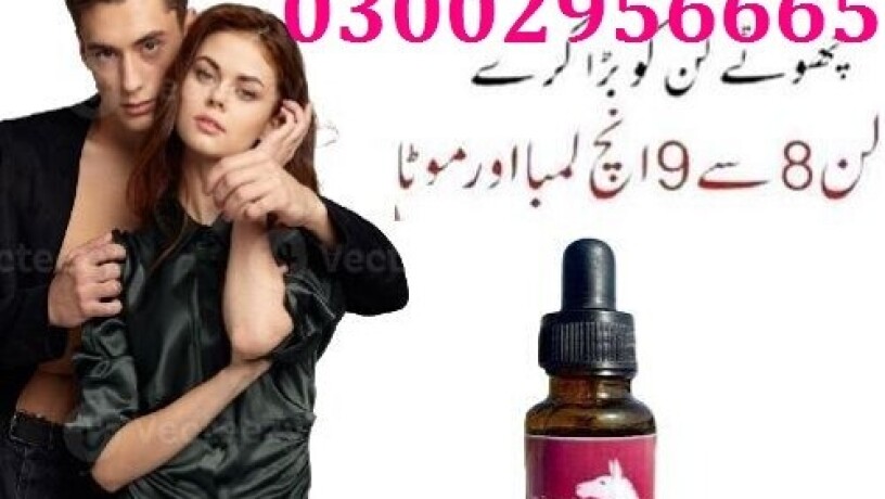 03002956665-donkey-oil-in-rahim-yar-khan-big-0