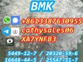5449-12-7-telegramcathysales06-germany-warehouse-stock-new-bmk-powder-small-0