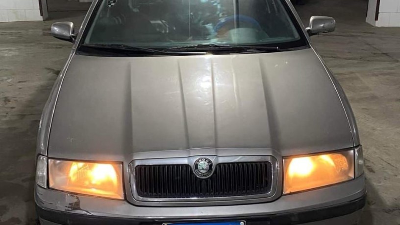 skoda-aoktafya-2007-a4-big-1