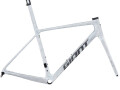 2025-giant-tcr-advanced-sl-frameset-alanbikeshop-small-0