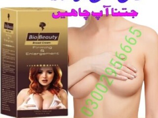 Bio Beauty Cream In Pakistan - 03002956665